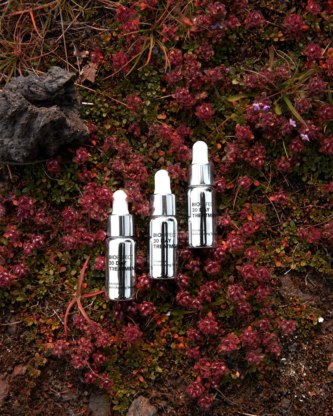 Traitement de 30 jours – Image 3